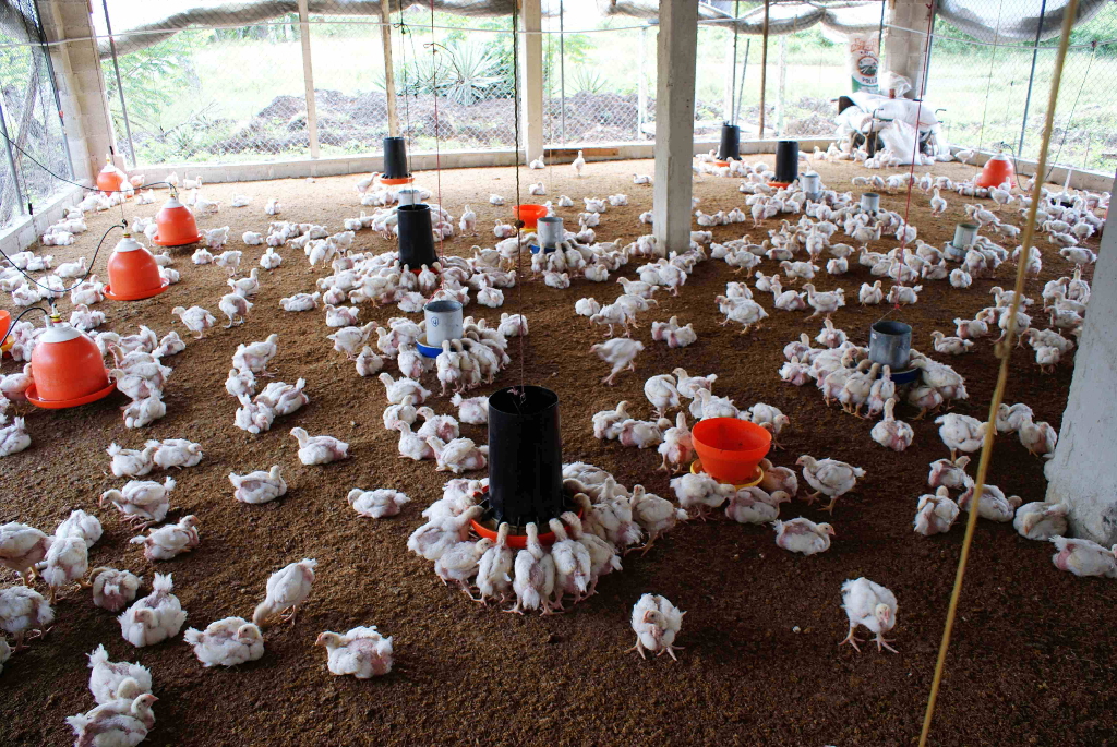 ¿Qué se necesita para habilitar una granja?