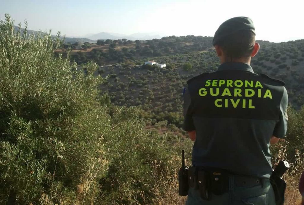 ¿Qué se necesita para entrar en el Seprona?