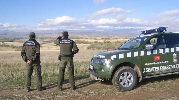 ¿Cuánto gana un agente forestal en España?