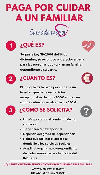 ¿Quién puede asumir la condición de cuidadores no profesionales de una persona en situación de dependencia?