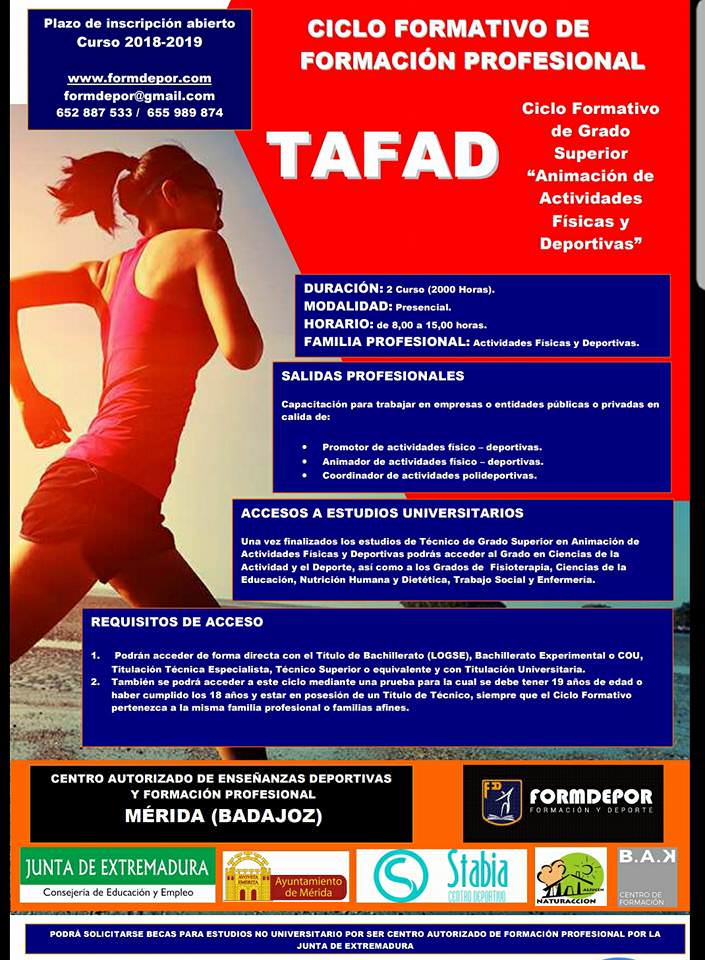 ¿Qué asignaturas se dan en tafad?